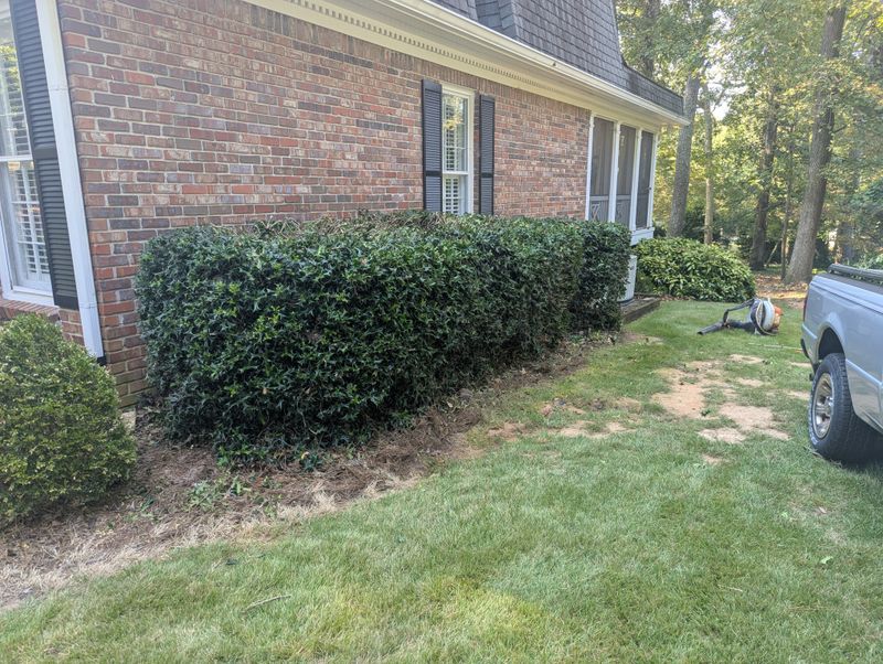 Mowing