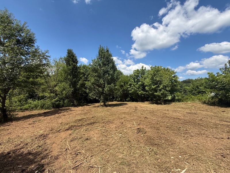 Land Clearing