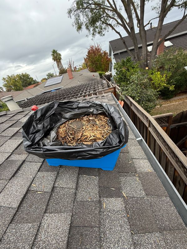 Gutter cleaning 