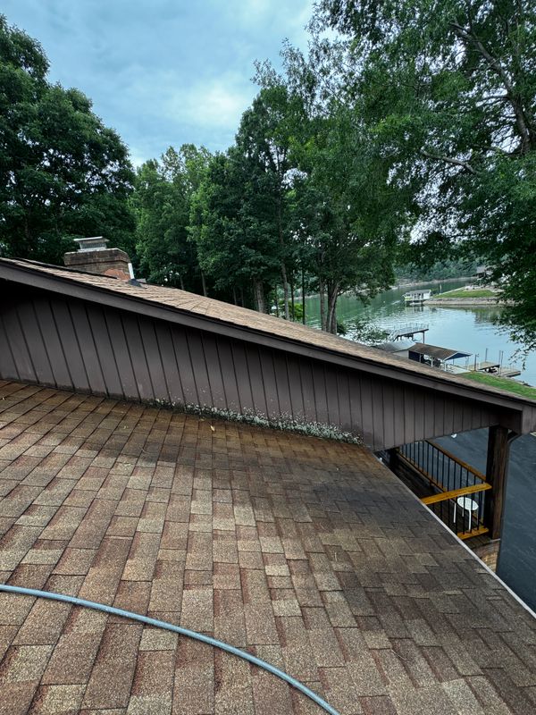 Roof Washing