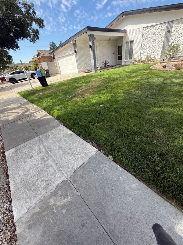 Landscaping