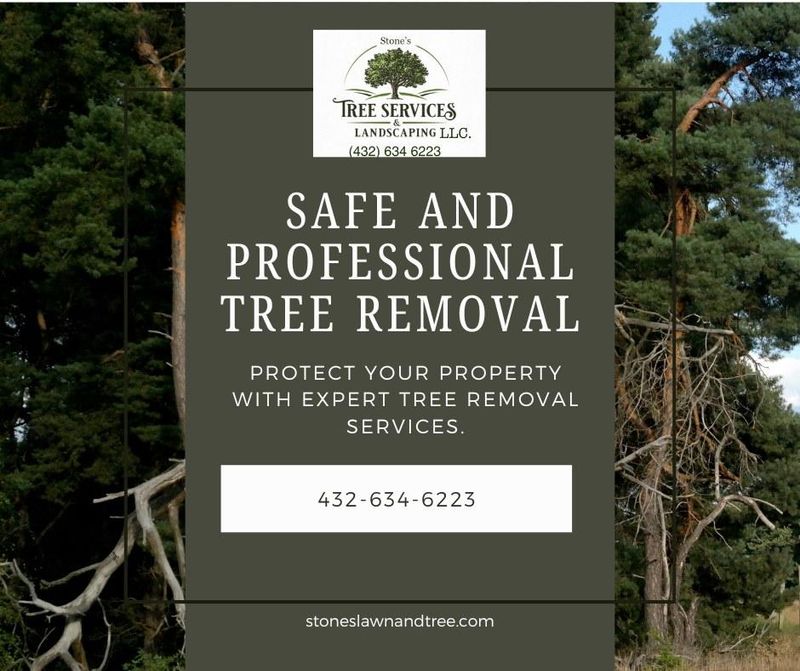 Tree Service