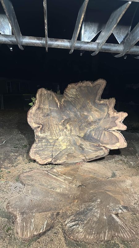 Tree Removal