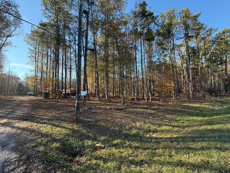 Forestry Mulching and Land Clearing