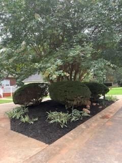 Brush Trimming
