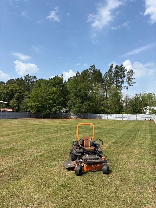 Lawn Maintenance
