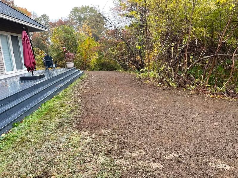 Landscape Design & Installation