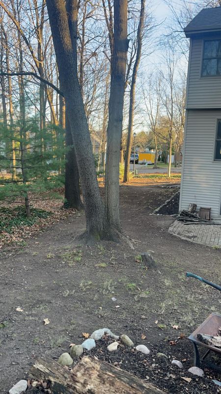Debris Removal