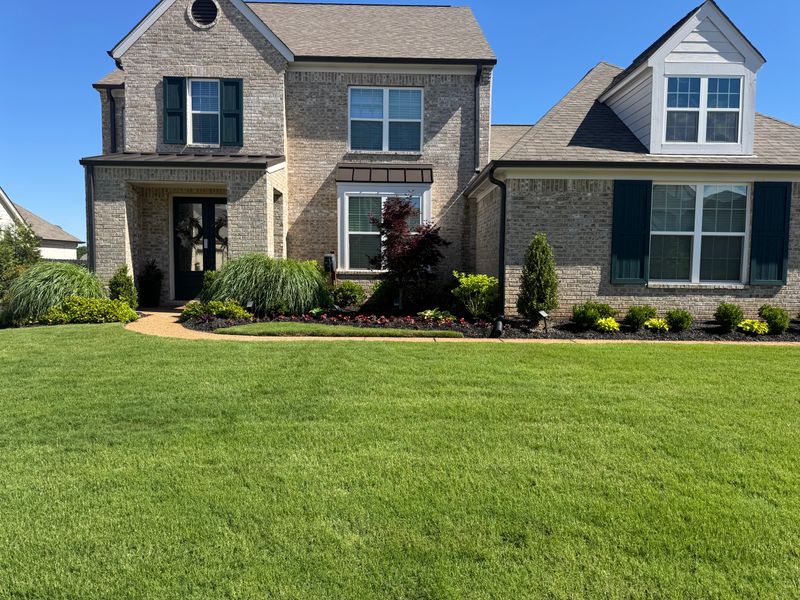 Lawn Mowing