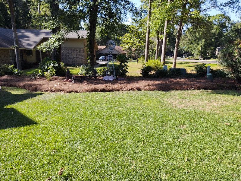 Lawn maintenance