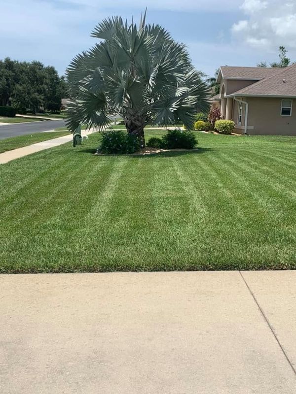 Lawn Care and Maintenance