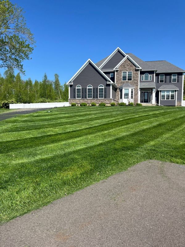 Lawn Mowing