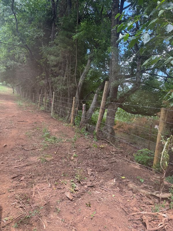 Land Clearing