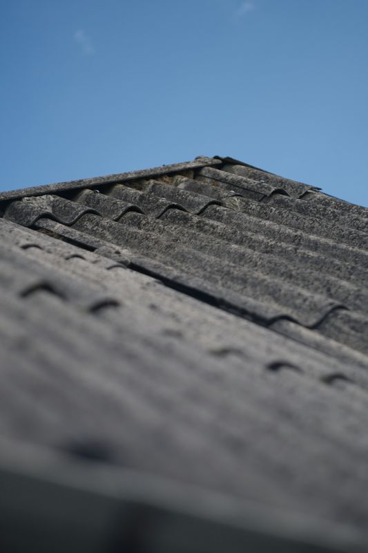 Roof and Gutter Cleaning