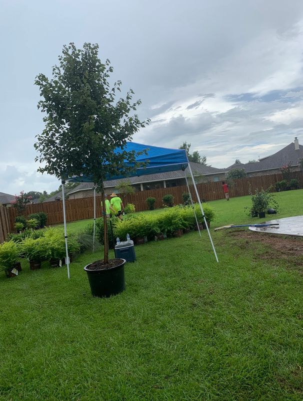 Landscape Maintenance