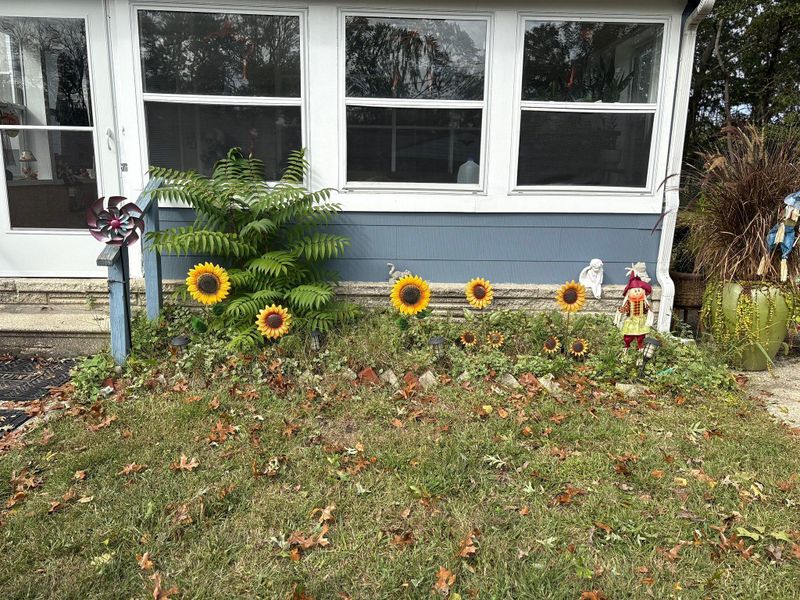 Flower Beds