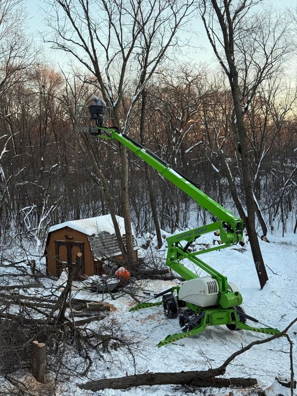 Tree Removal