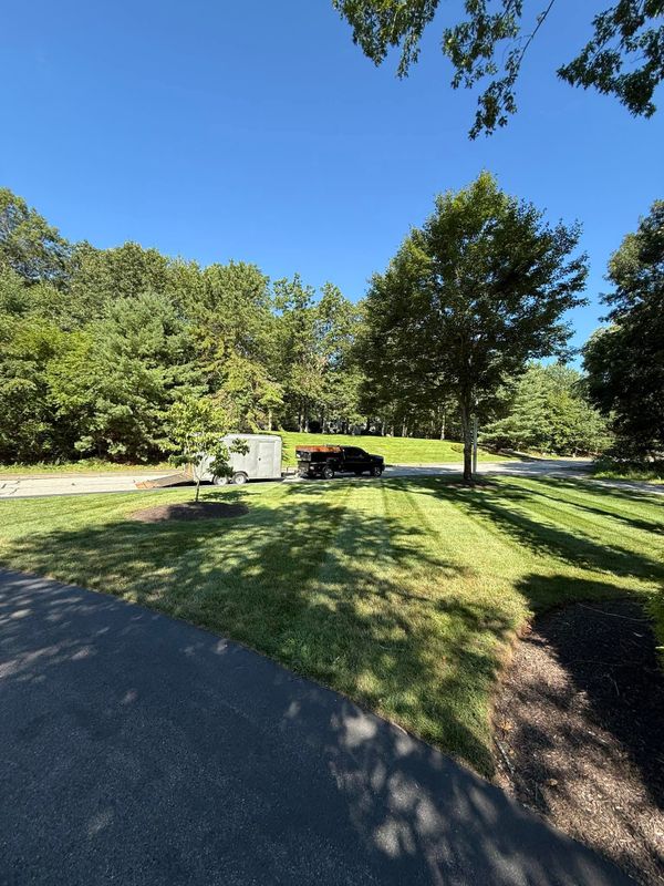 Tree & Shrub Care