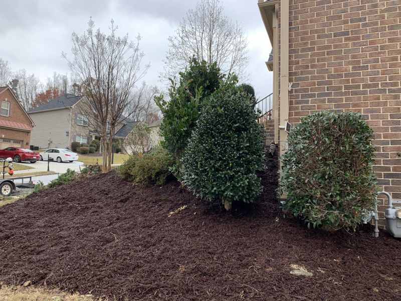 Landscaping