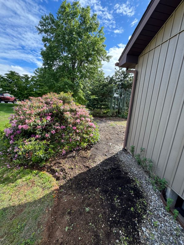 Landscaping