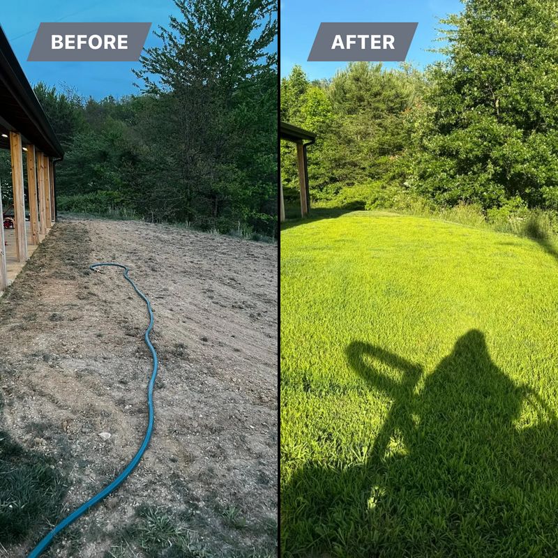 Before & After