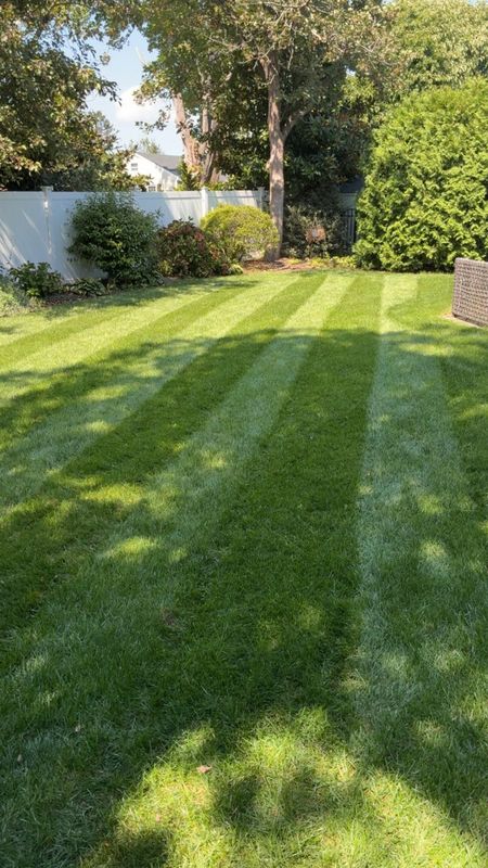 Lawn Maintenance