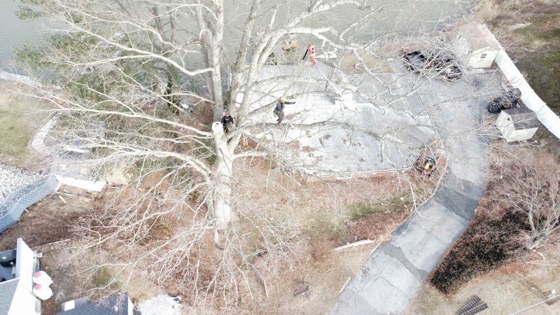 Drone Content