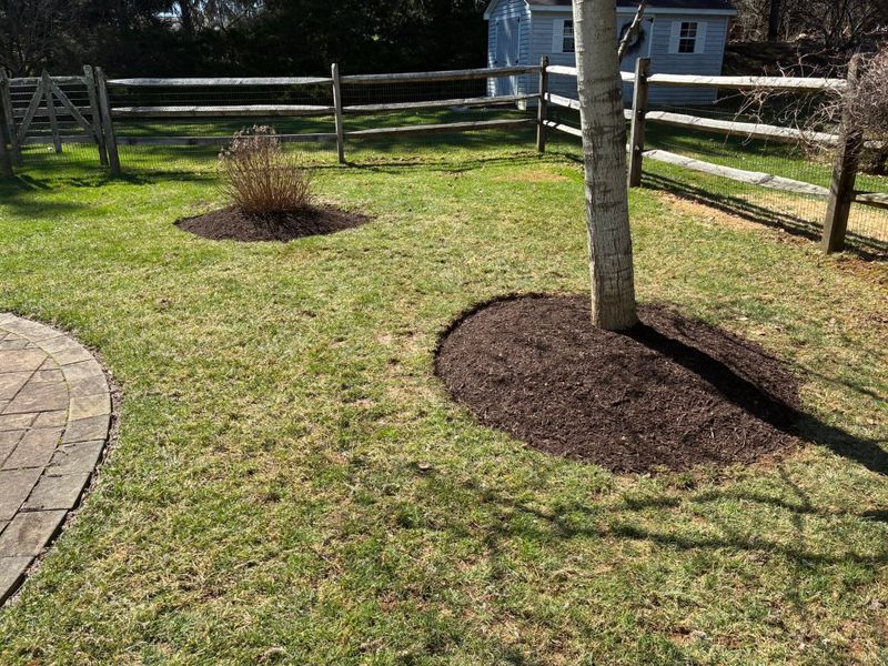 Mulch Installation