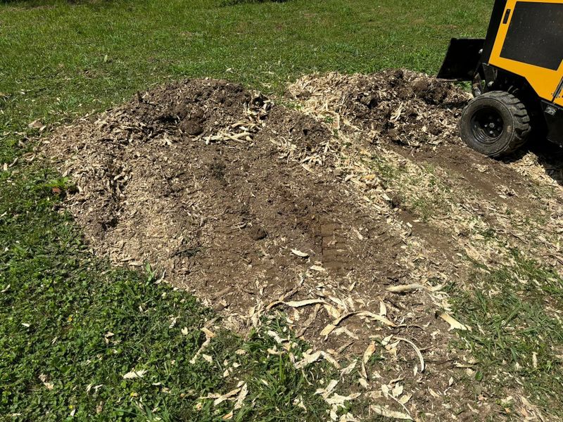 Stump Removal