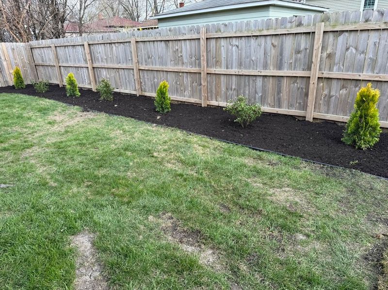Tree and Shrub Care