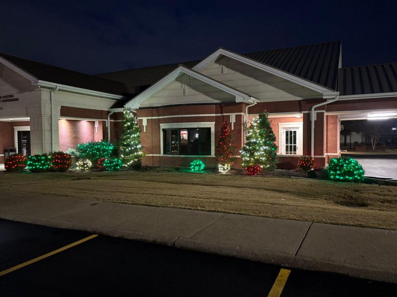 Christmas lights