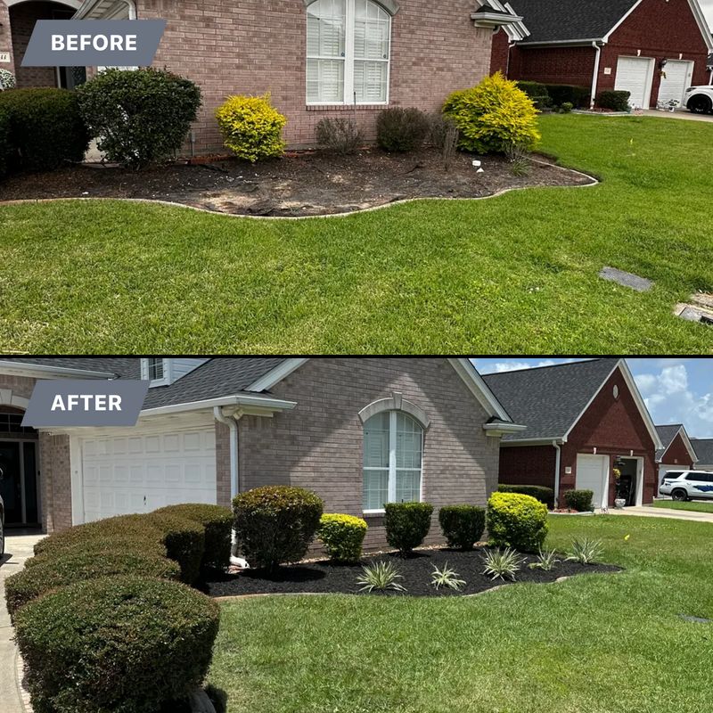 Landscaping 