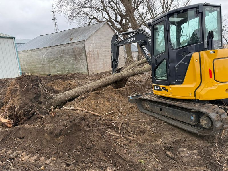 Land Clearing
