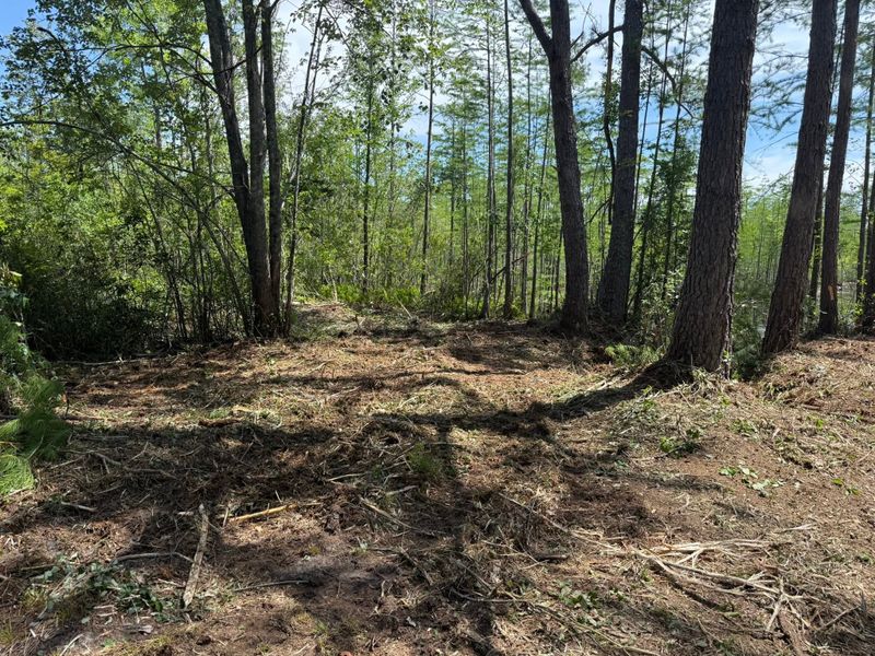 Land Clearing