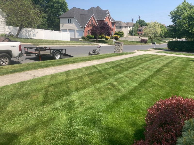 Lawn Maintenance