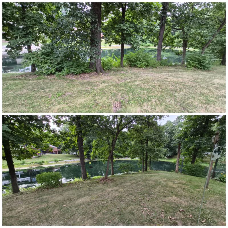 Seasonal Cleanups