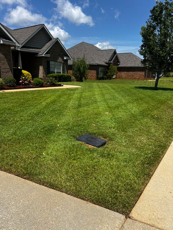 Sod Installation