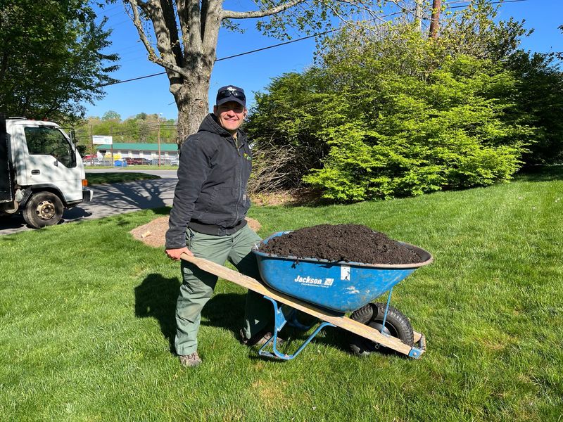 Turf repair, overseeding and top dressing gallery