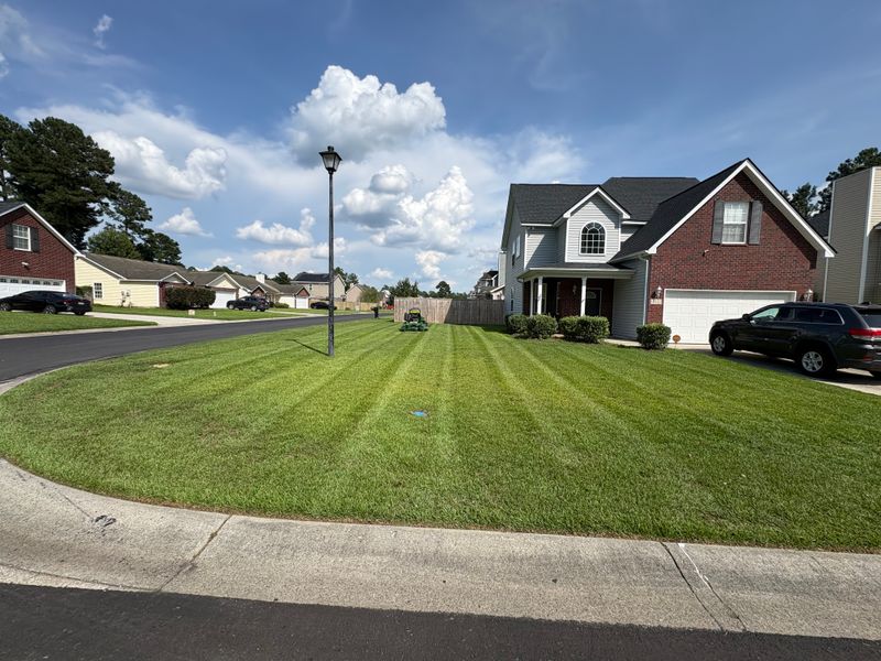 Lawn Maintenance