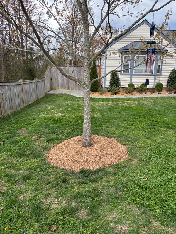 Lawn Care & Maintenance