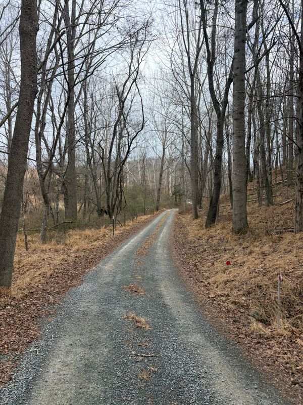Road Regrading