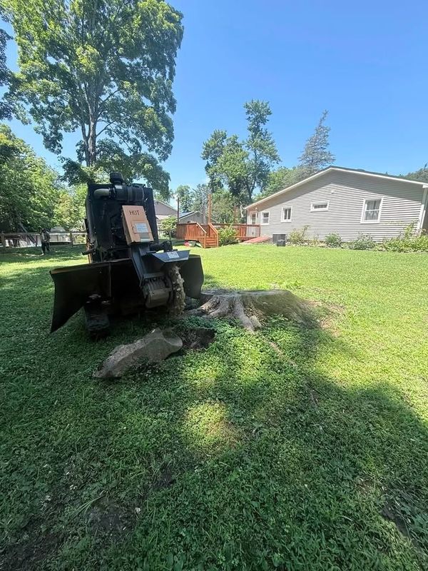 Stump Grinding