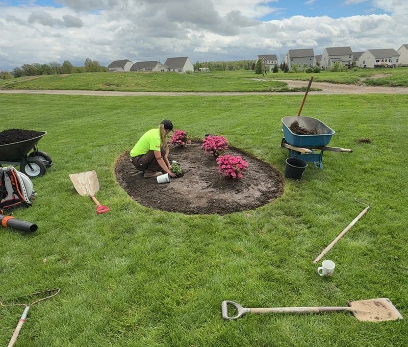 Landscape Design