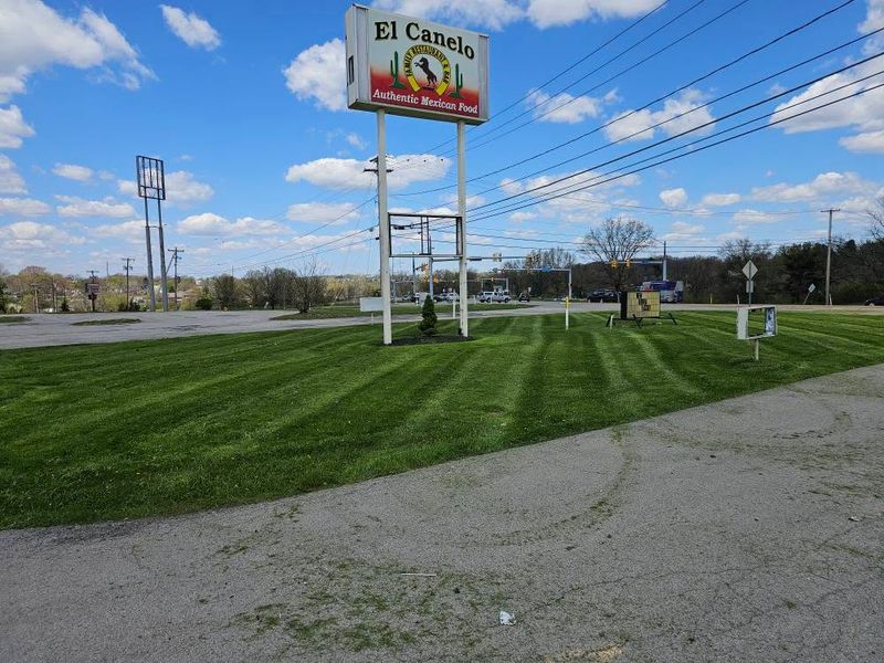 Lawn Maintenance