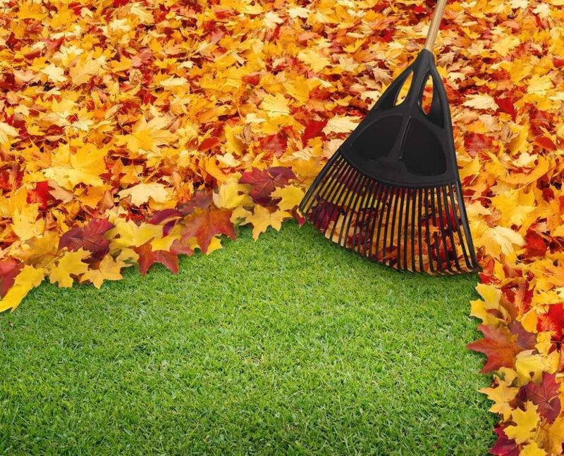 Lawn Maintenance