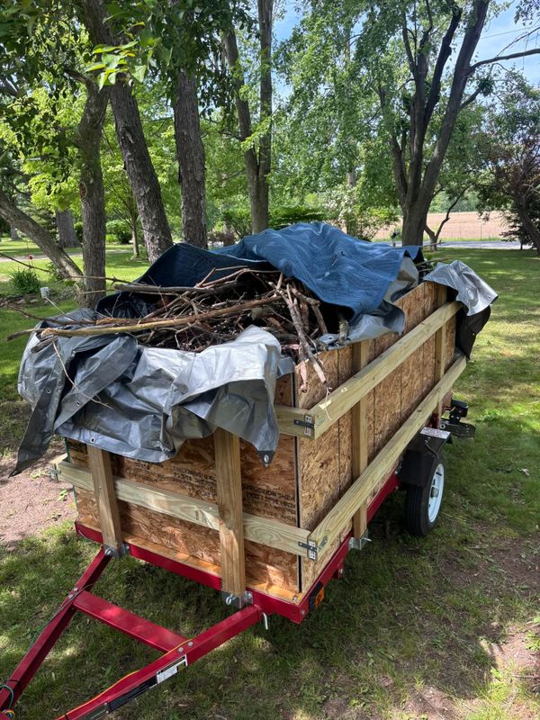Furniture and Appliance Removal