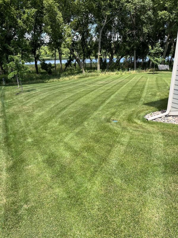 Lawn Care & Maintenance