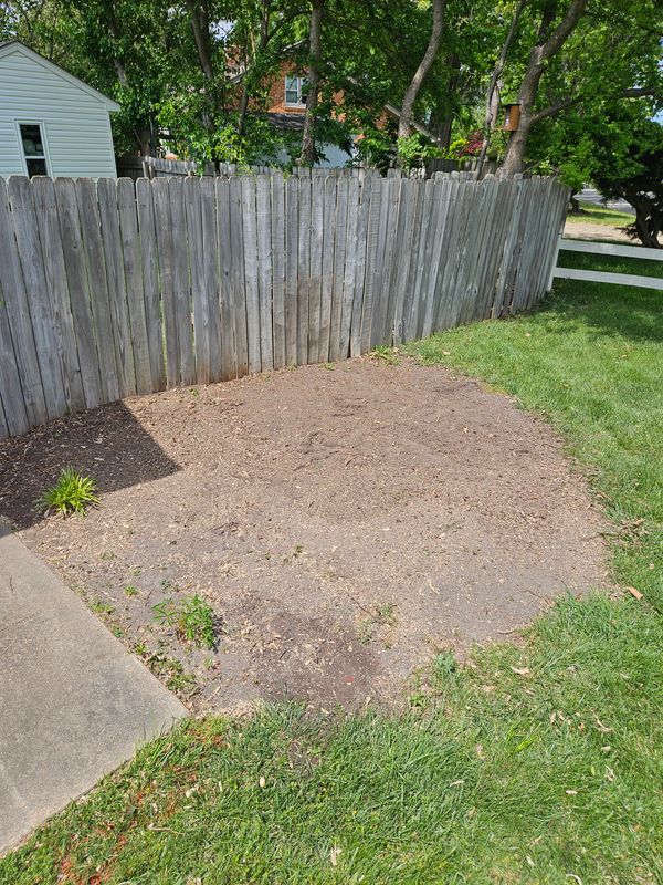 Stump Grinding
