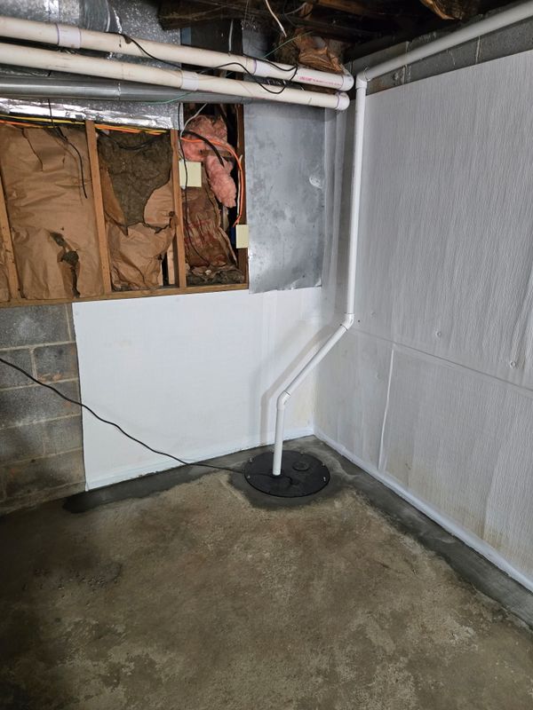 Crawl Spaces and Basements