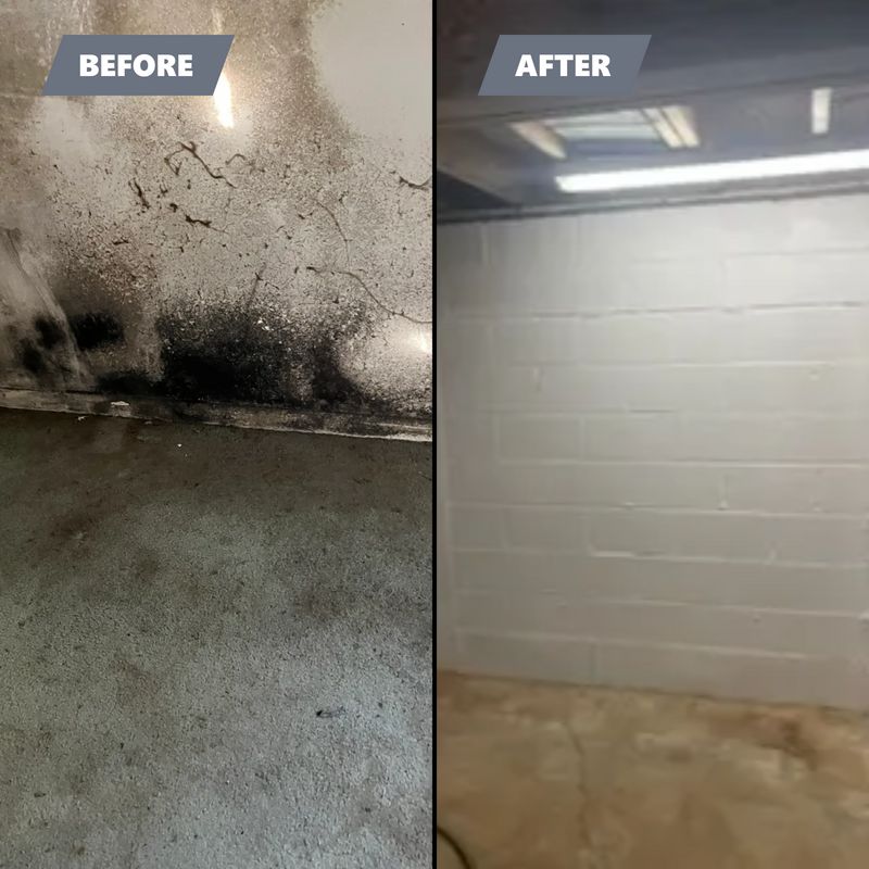 Mold Remediation gallery